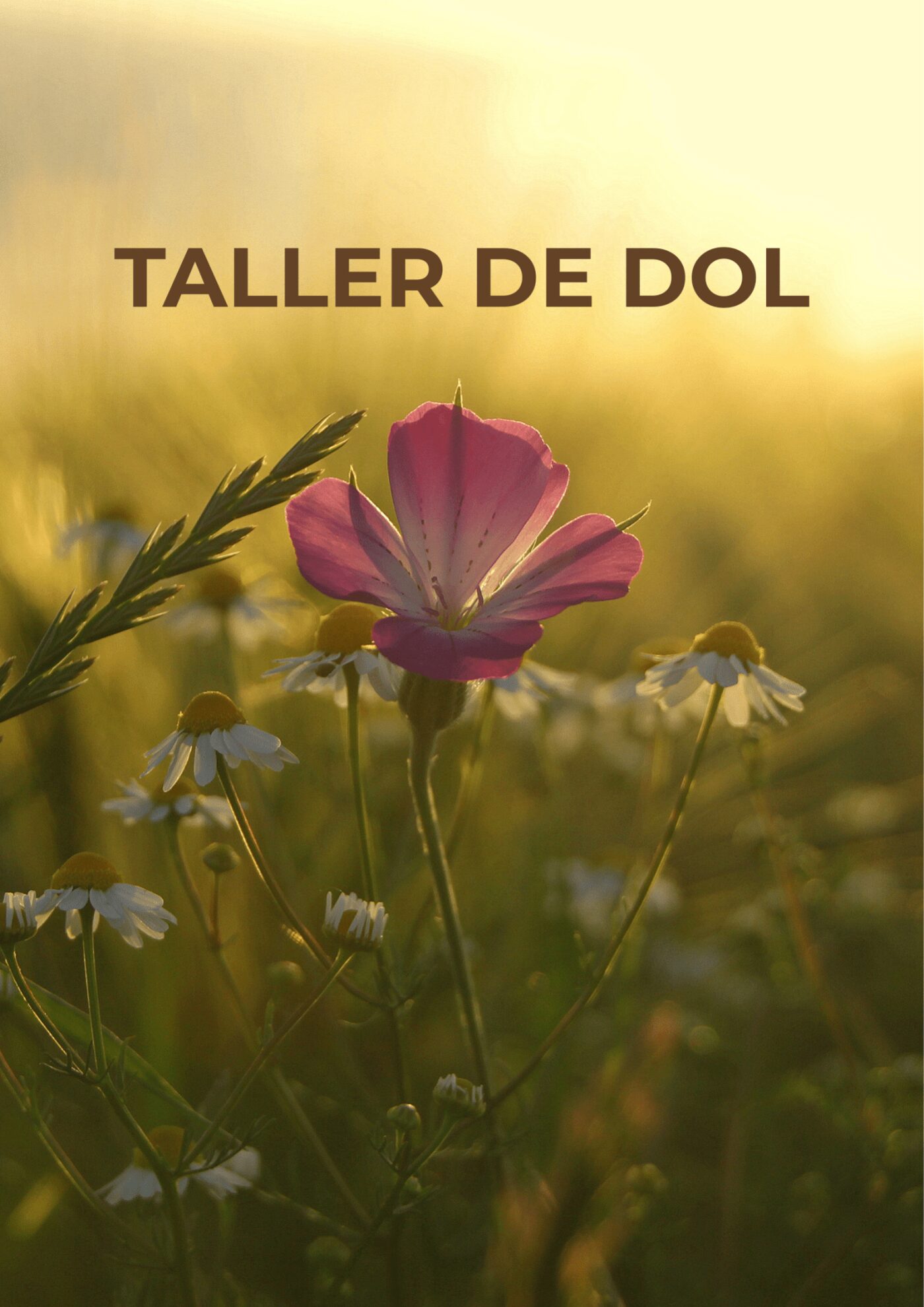 Taller de dol: reconèixer, expressar i donar sentit a les pèrdues