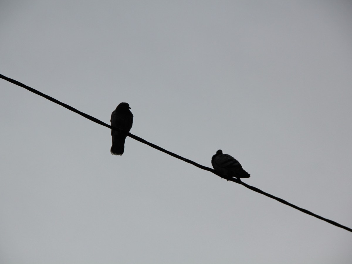 20-22/02 Taller de parella: redescobrint-nos per enfortir i revisar el&nbsp;vincle