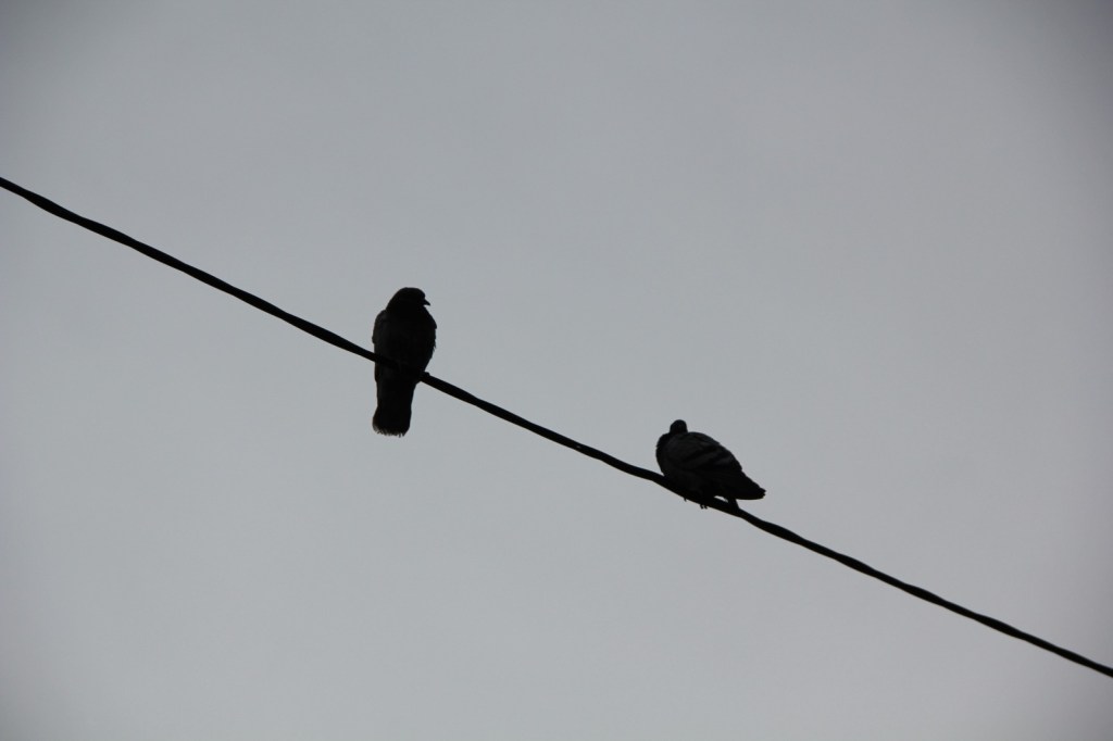 20-22/02 Taller de parella: redescobrint-nos per enfortir i revisar el&nbsp;vincle