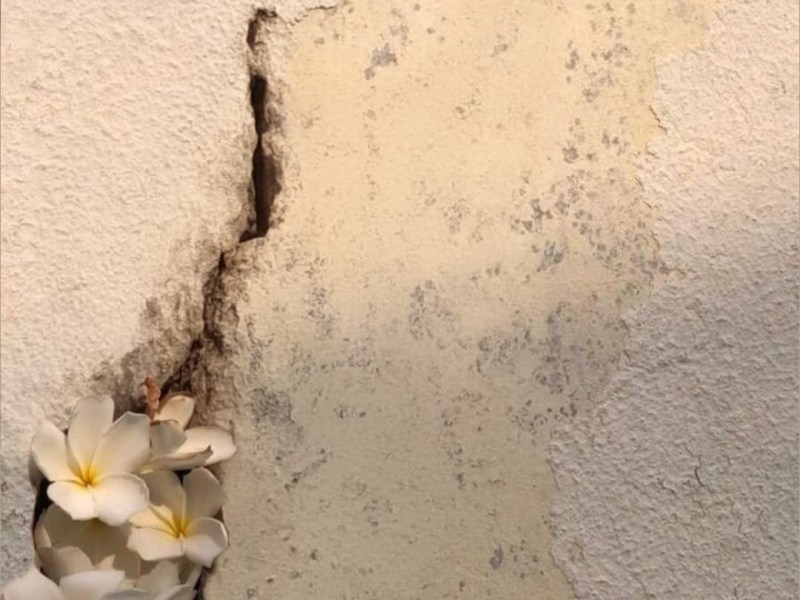 25-26/04 Kintsugi: la bellesa de les&nbsp;cicatrius