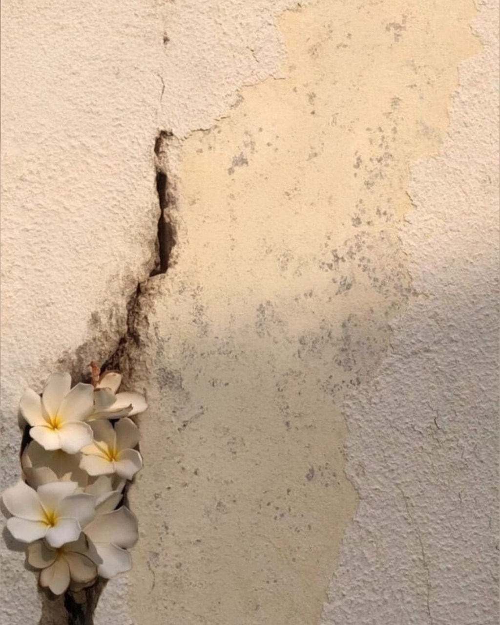 25-26/04 Kintsugi: la bellesa de les&nbsp;cicatrius